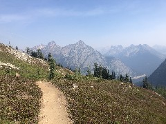 Maple Heather Trail, WA